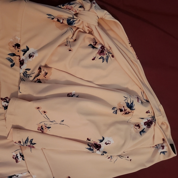 Torrid Blush Dress - Picture 2 of 12